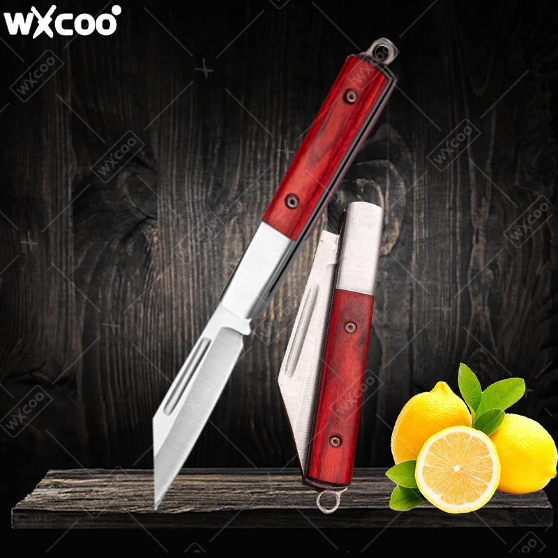 Stainless Steel Pocket Knife R - đánh giá và giá Kitchen Gadgets Products
