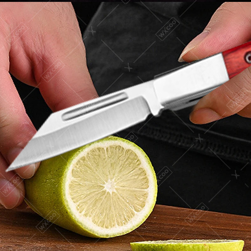 Stainless Steel Pocket Knife R - đánh giá và giá Kitchen Gadgets Products
